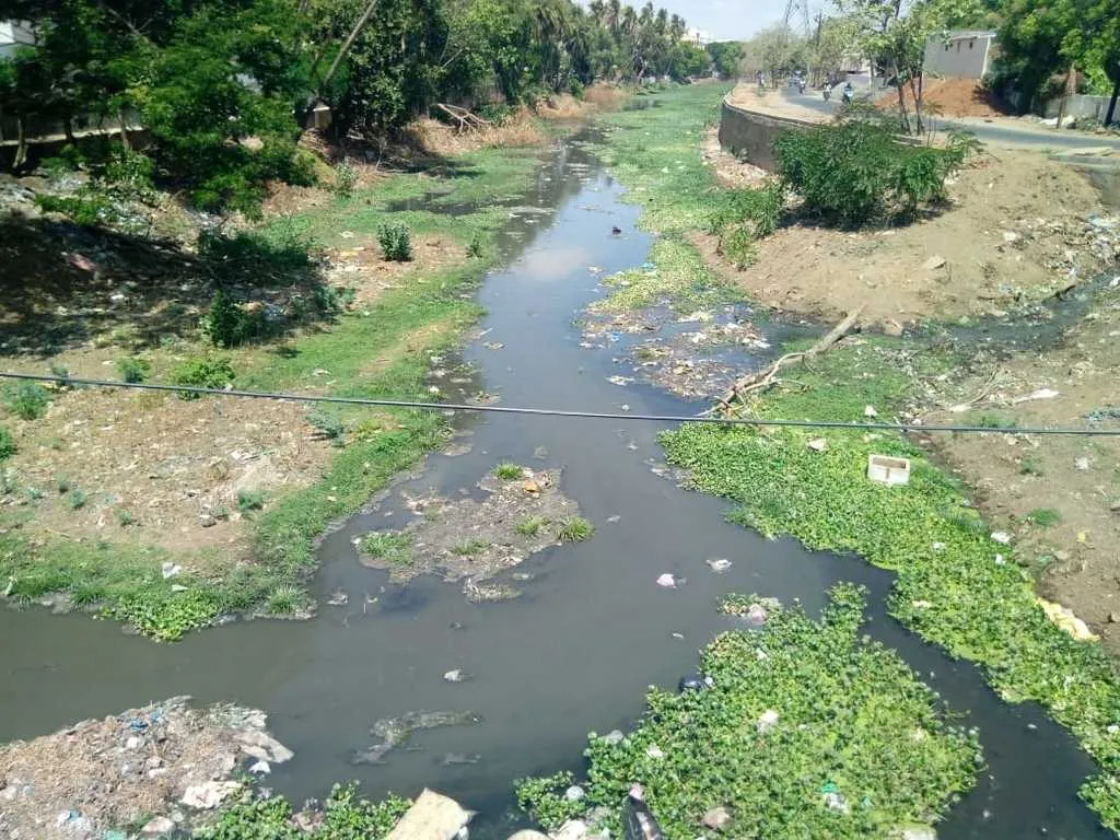 Sewage mixing in the canal in Udayakonda ;chief minister  was the first to acknowledge the truth in the assembly!